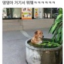 야 이미지