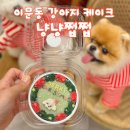 냥냥쩝쩝 | 이문동강아지케이크 동대문 강아지 생일케이크 맛집 냥냥쩝쩝 후기