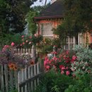 장미도서관 이미지