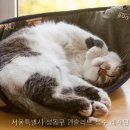 성수 네이버블로그