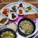 용상식당 | 안동정식 맛집 새까치식당 / 안동용상맛집 / 고등어구이정식 후기