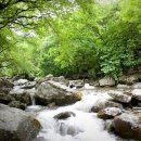 푸른숲캠핑장 이미지