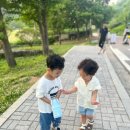 상상터널 | [의왕] 경기도 아이랑 갈만한곳 ‘철도박물관’ 군포 ‘초막골생태공원’ 상상놀이마당