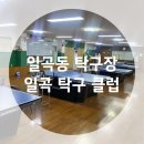[일곡동] 신나게 자유 운동할 수 있는 일곡탁구클럽