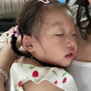 기린어린이집(신) | 33개월 아이랑 푸꾸옥 여행기 DAY 1(3박5일 일정 / 진에어 선택 이유 / 푸꾸옥 패스트트랙 및 픽업 예약)