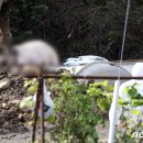 박정호농장(1농장) 이미지