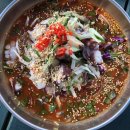 민경애견 이미지