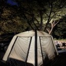 참좋은 세탁소 | 노스피크 에어리빙쉘터 4인 가족 솔직 후기(feat.텐트세탁소 바닥 작업)