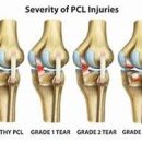 양재김경호한의원 이미지