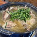 신비가든 | 양산 신비숲가든 저녁 방문 후기: 대나무 숲 방갈로에서 즐기는 진한 한방오리백숙 보양식