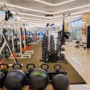 프로 피지컬 센터 이미지