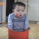 술독 - 천안시 서북구 | 술독