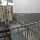 강릉 지구부동산 공인중개사사무소 이미지