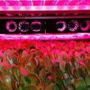 신선팜스 이미지