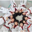 용인대 제일태권도 이미지