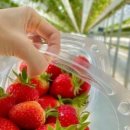 설성어린이집 이미지