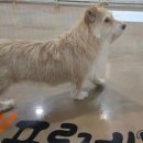 팅커벨