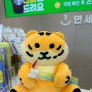 연세일등치과의원 이미지