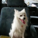 상봉2동 (3) 이미지