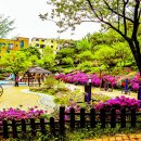 대학동-30 이미지