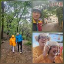 안산자락길 숲속카페 | 서울 비올때 갈만한 곳 실내 | 숲속 한방랜드 가격 봉원사 안산자락길
