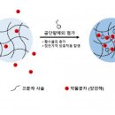 안구건조증 증상 및 치료방법 : 권장하는 안구건조증 영양제 이미지