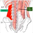 오리궁뎅이 이미지