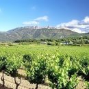 땅가게 공인중개사사무소 이미지