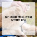 경남 합기도 이미지