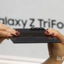 더블트라이