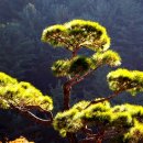 가평여행 이미지