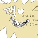 웨이커피 - 시흥시 군서로54번길 7-1 | 웨이커피