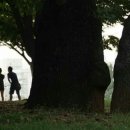 숲속이야기 이미지