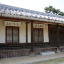 상록수 이미지