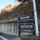 수레의산자연휴양림 이미지