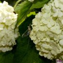 풍경(오월의 이야기 이미지