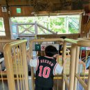 야니랜드 이미지