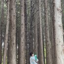 땅뫼산산책로변 공중화장실 | 비온 뒤 방문하면 좋은 부산의 힐링 숲 두 곳 - 아홉산숲, 땅뫼산 황토숲길