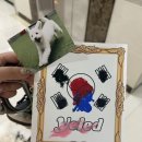 대한유치원 | 하남 강아지 유치원 추천 옐레드 하남미사점 그로 등원 후기 🐶💛
