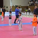 액티브경희태권도장 이미지