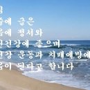 천생 연분 이미지