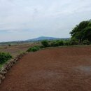 상모리-24 이미지