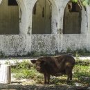 아방궁 당구장 이미지