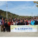 겸면 주민자치센터 이미지