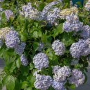 정관 어린이도서관(윗골공원) 이미지