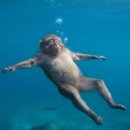 쿨 마 트 | 20만원으로 칭다오 여행하기