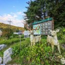 여주산촌관광농원 이미지