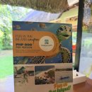 더 리얼사우스 | 보홀 오셔니카 리조트 데이 유즈 두말루안 비치 BBC 아고타타 사우스 팜 예약 방법