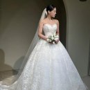 카페아른 | W. 실크맛집 [아뜰리에로리에] 드레스투어 후기 : 선택X(아직도 아른거리는 실크드레스...)