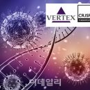 &#39;美→EU&#39;도 뚫은 유전자 교정 신약 &#39;카스게비&#39; 훨훨 날까